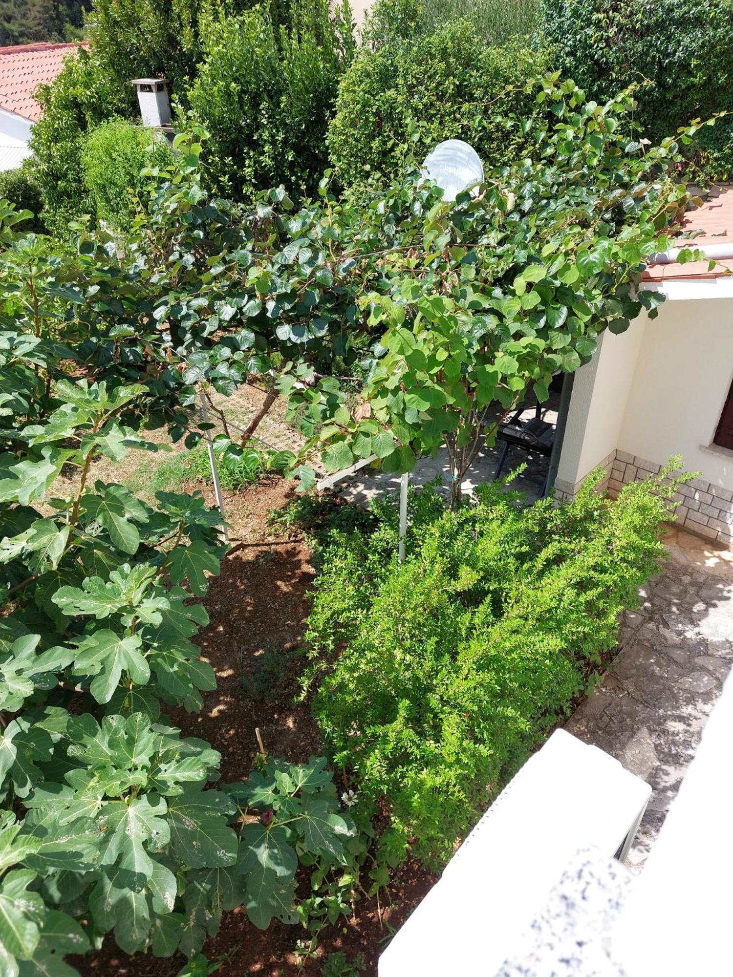 Apartment Kiwi Rabac Esterno foto